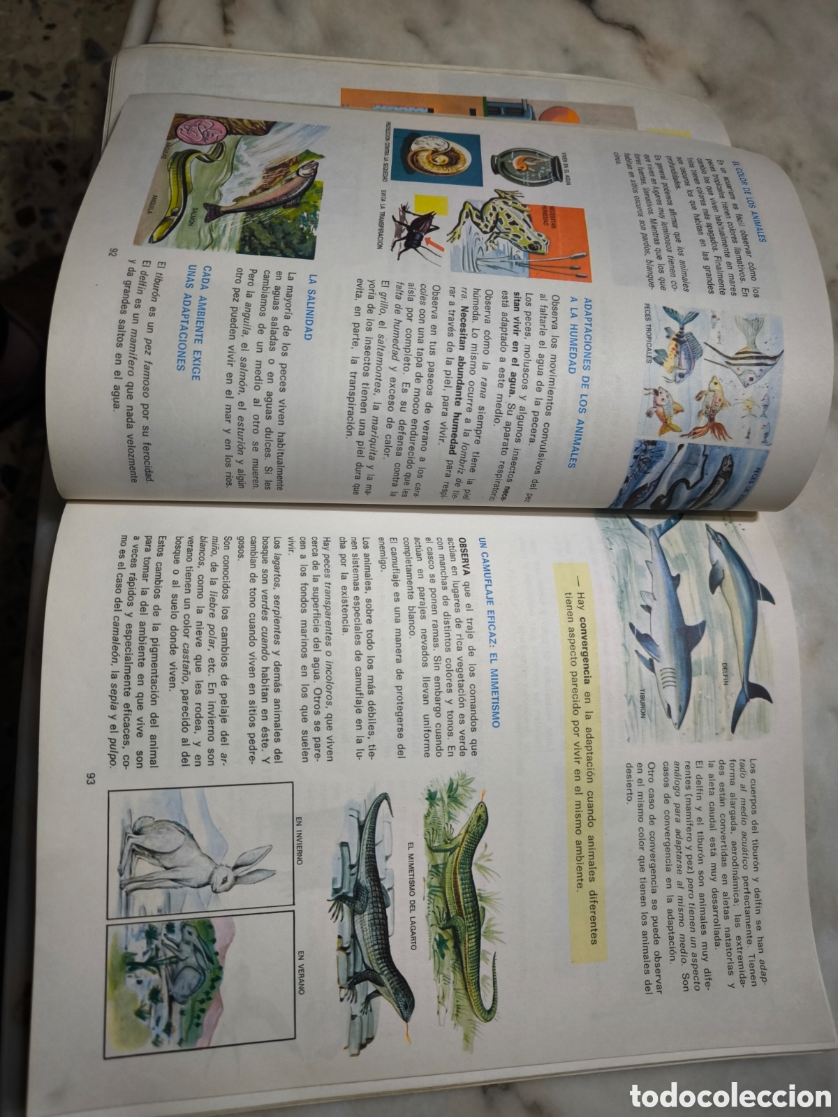 Libros de segunda mano: Libro Ciencias de la naturaleza - Foto 4