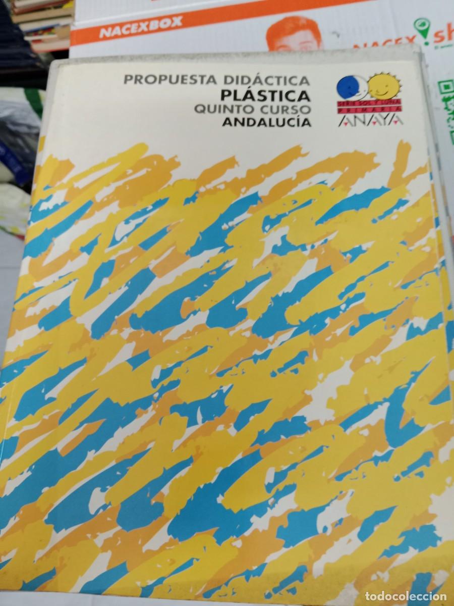 Libros de segunda mano: E-VAC LIBRO TEXTO PROPUESTA DIDACTICA PLASTICA 5 CURSO ANAYA - Foto 1