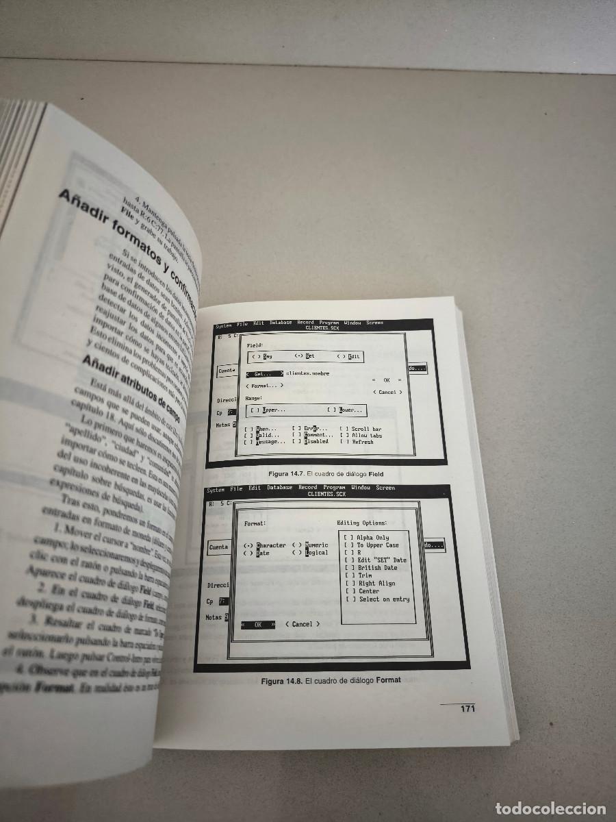Libros de segunda mano: LIBRO PROGRAMACION EN FOXPRO 2 PALMER ANAYA INFORMATICA PROGRAMACION - Foto 5