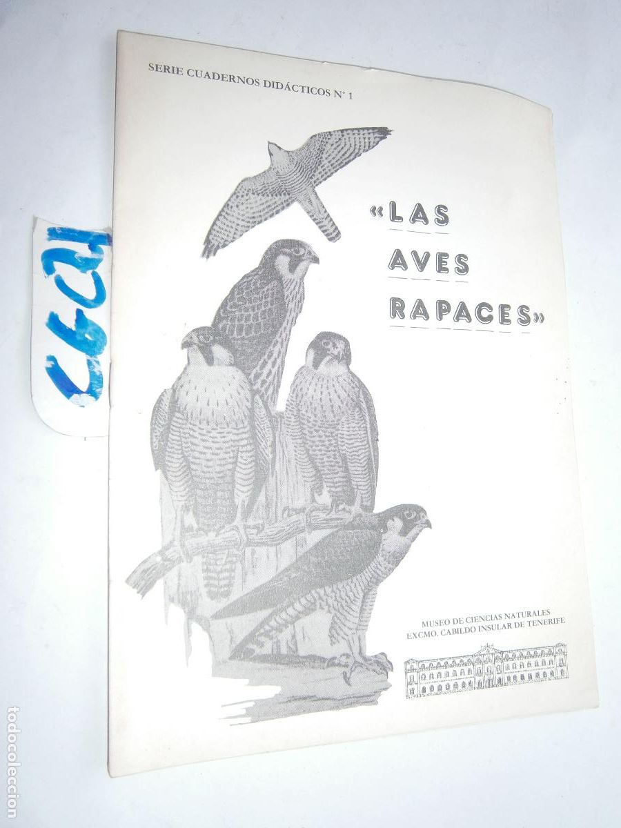 Libros de segunda mano: CUADERNO DIDACTICO - LAS AVES RAPACES - Foto 1