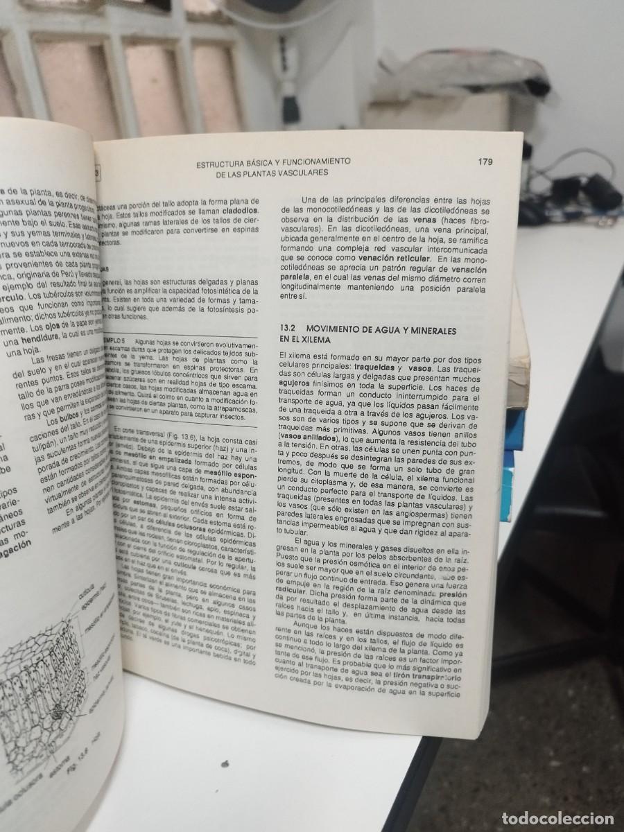 Libros de segunda mano: BIOLOGIA. GEORGE H. FRIED. MCGRAWHILL 1994. - Foto 4