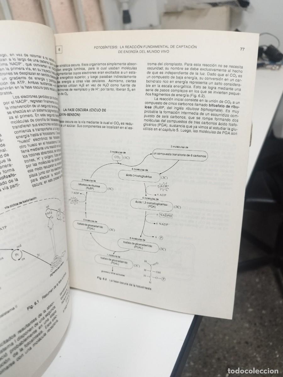 Libros de segunda mano: BIOLOGIA. GEORGE H. FRIED. MCGRAWHILL 1994. - Foto 5