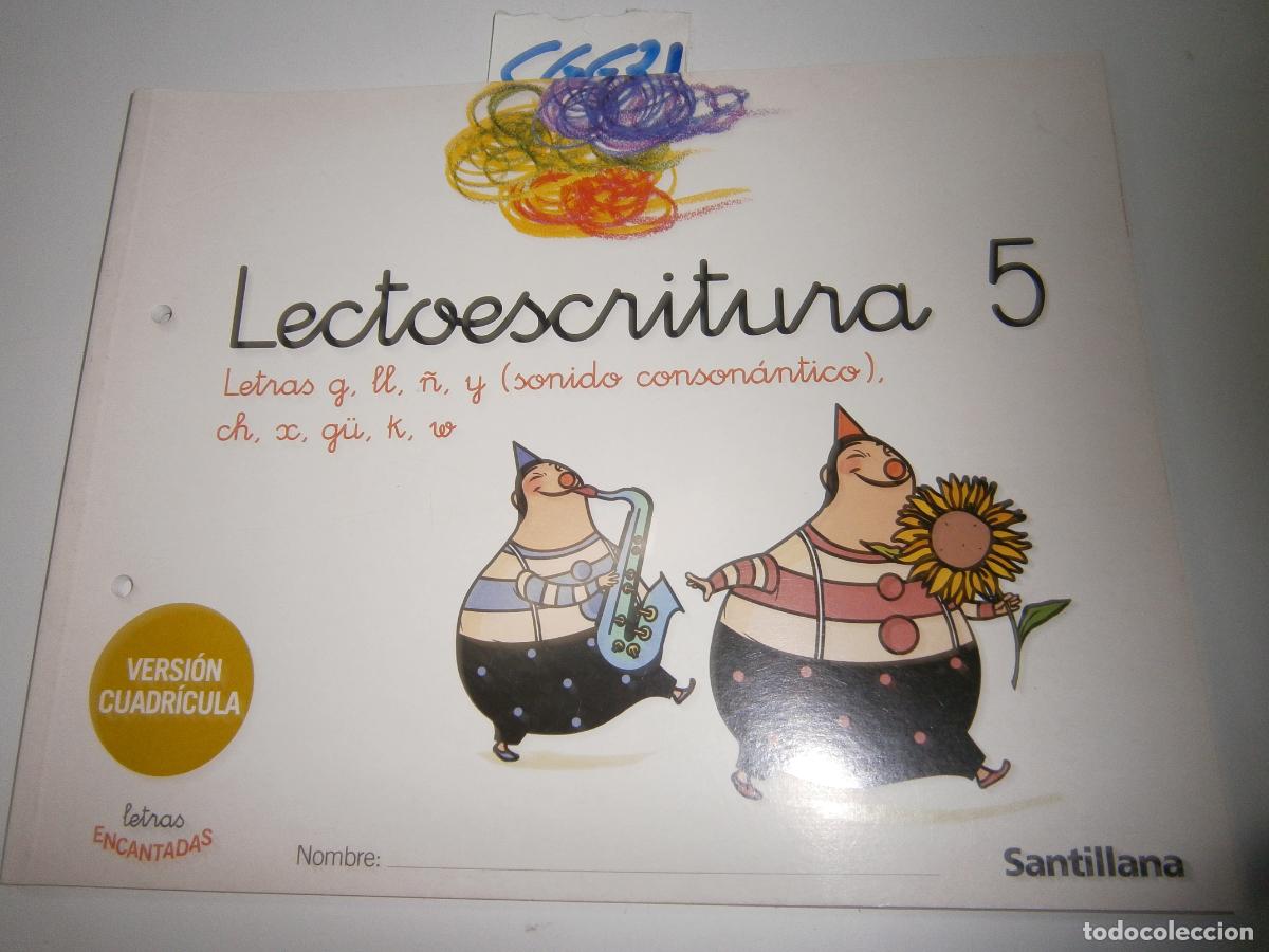 Libros de segunda mano: ANTIGUO LIBRO DE TEXTO - LECTOESCRITURA - Foto 1