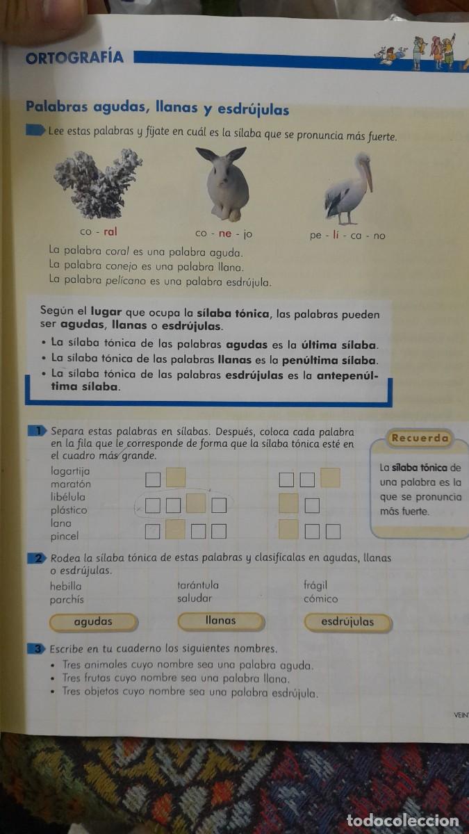 Libros de segunda mano: Libro proyecto Trotamundos lengua 4 de primaria editorial SM - Foto 2