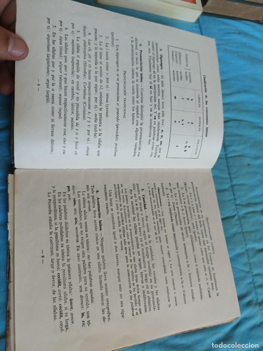 Libros de segunda mano: GRAMATICA LATINA / / EVA 207-202 / EDELVIVES - Foto 12