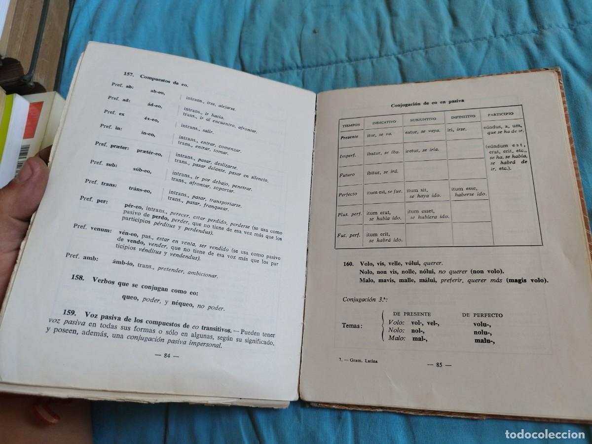 Libros de segunda mano: GRAMATICA LATINA / / EVA 207-202 / EDELVIVES - Foto 14