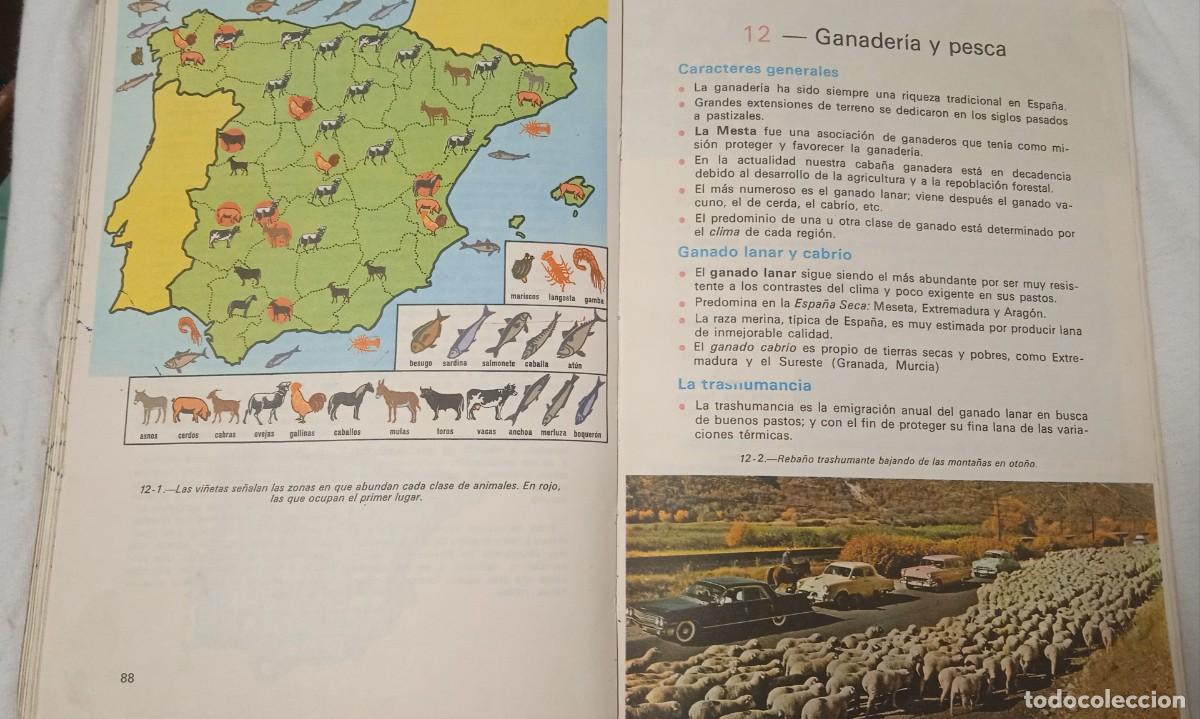 Libros de segunda mano: Guia del profesor Cosmo 1 - Anaya. - Foto 4
