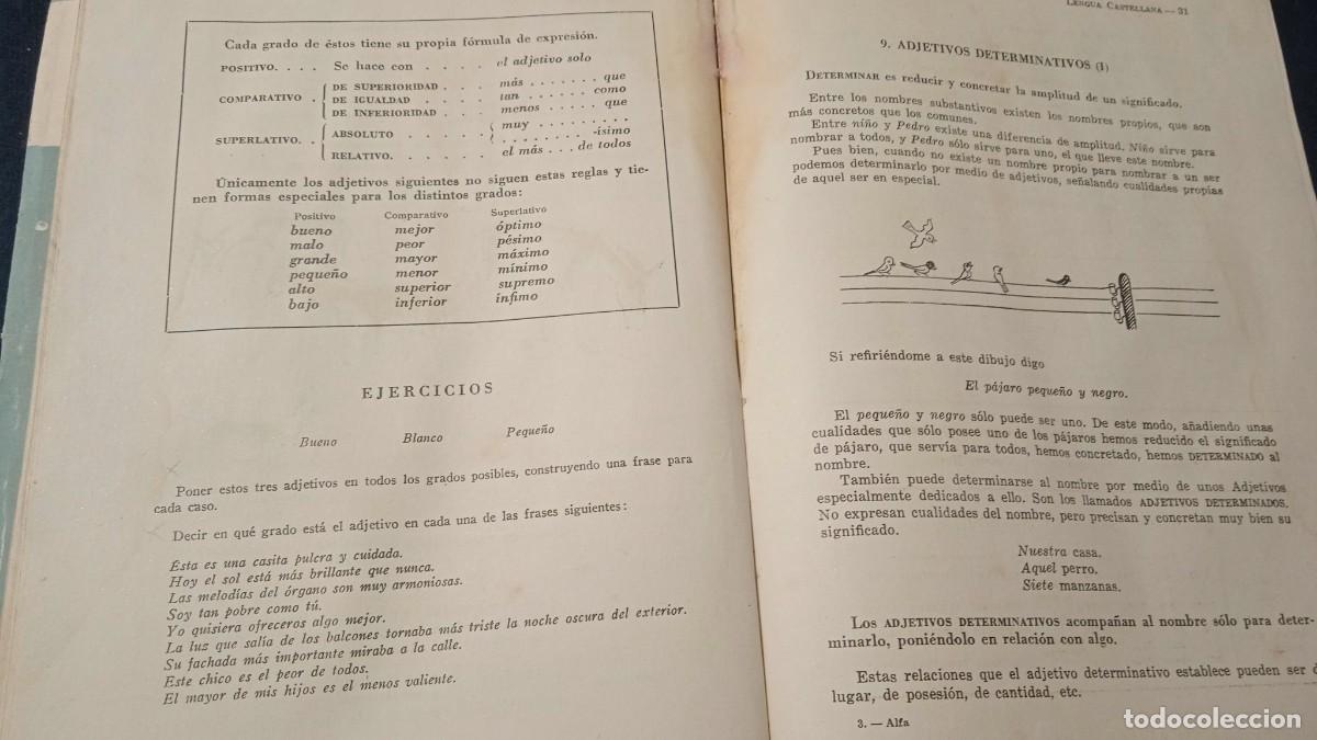 Libros de segunda mano: Alfa - Curso de Lengua Castellana - Teide. - Foto 4