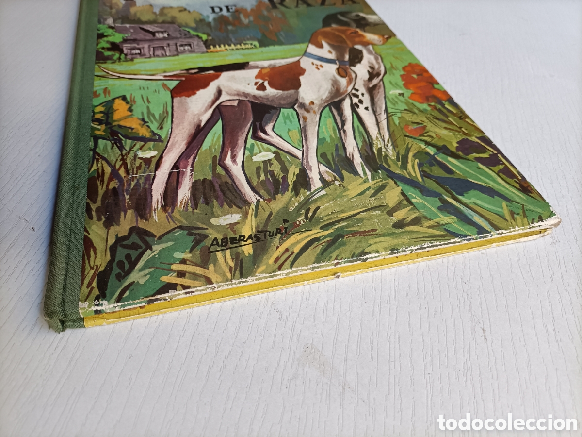 Libros de segunda mano: Perros de raza. Editorial Vasco Americana 1963 - Foto 3