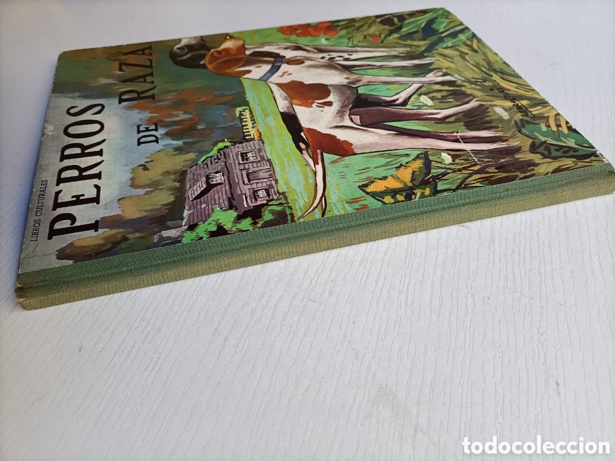 Libros de segunda mano: Perros de raza. Editorial Vasco Americana 1963 - Foto 4
