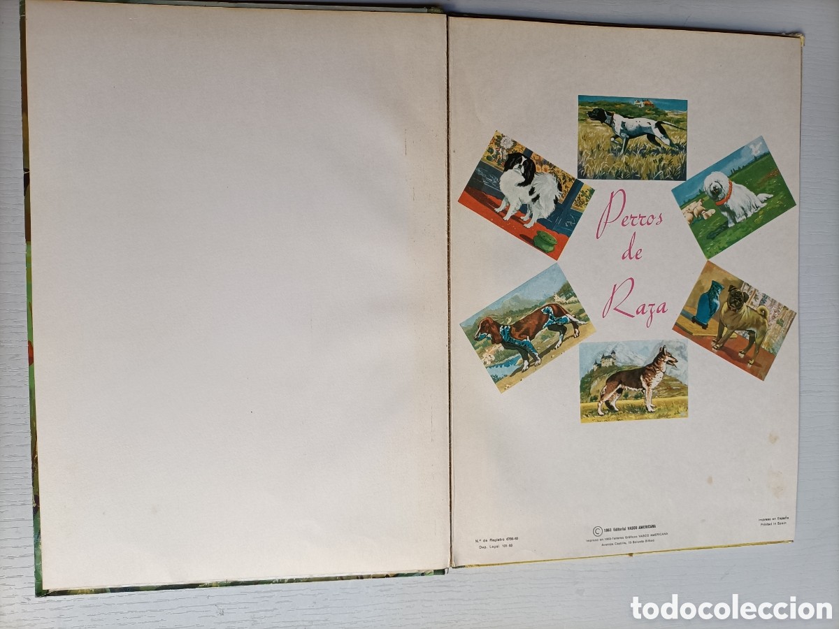 Libros de segunda mano: Perros de raza. Editorial Vasco Americana 1963 - Foto 7