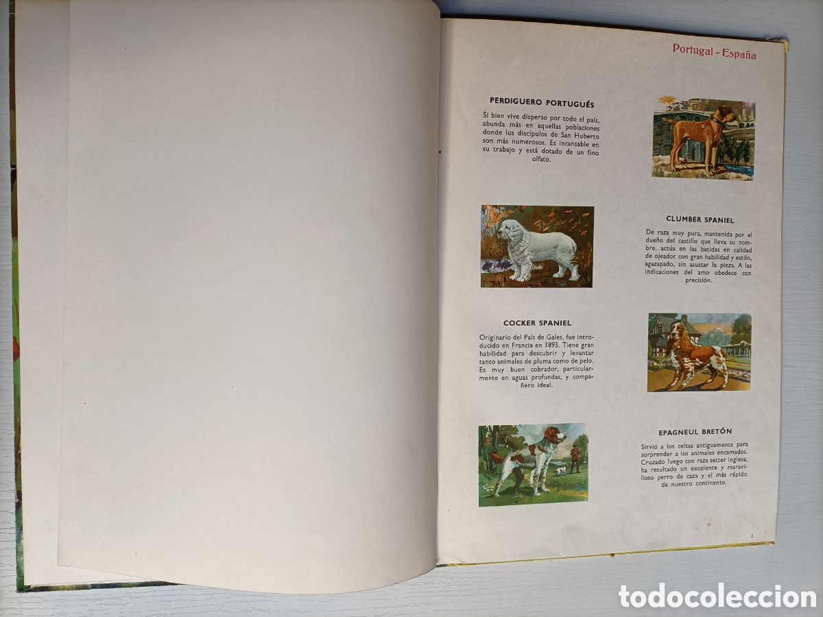 Libros de segunda mano: Perros de raza. Editorial Vasco Americana 1963 - Foto 8