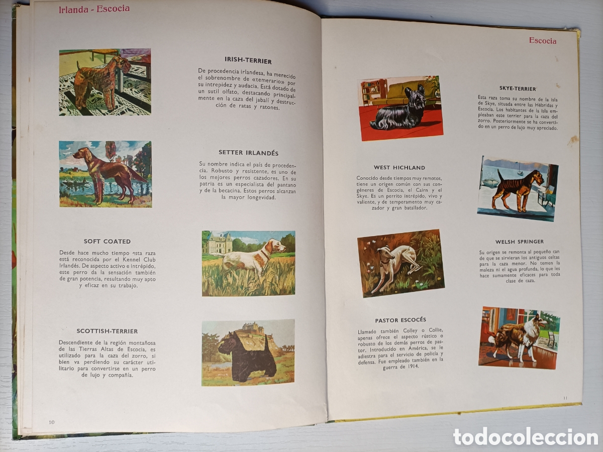 Libros de segunda mano: Perros de raza. Editorial Vasco Americana 1963 - Foto 10