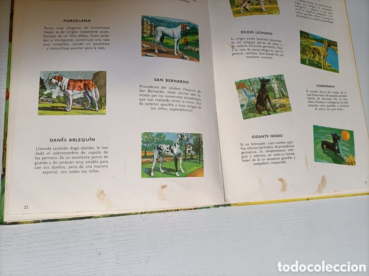 Libros de segunda mano: Perros de raza. Editorial Vasco Americana 1963 - Foto 13