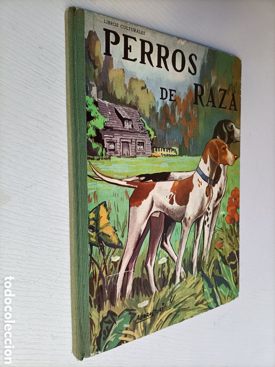 Libros de segunda mano: Perros de raza. Editorial Vasco Americana 1963 - Foto 1