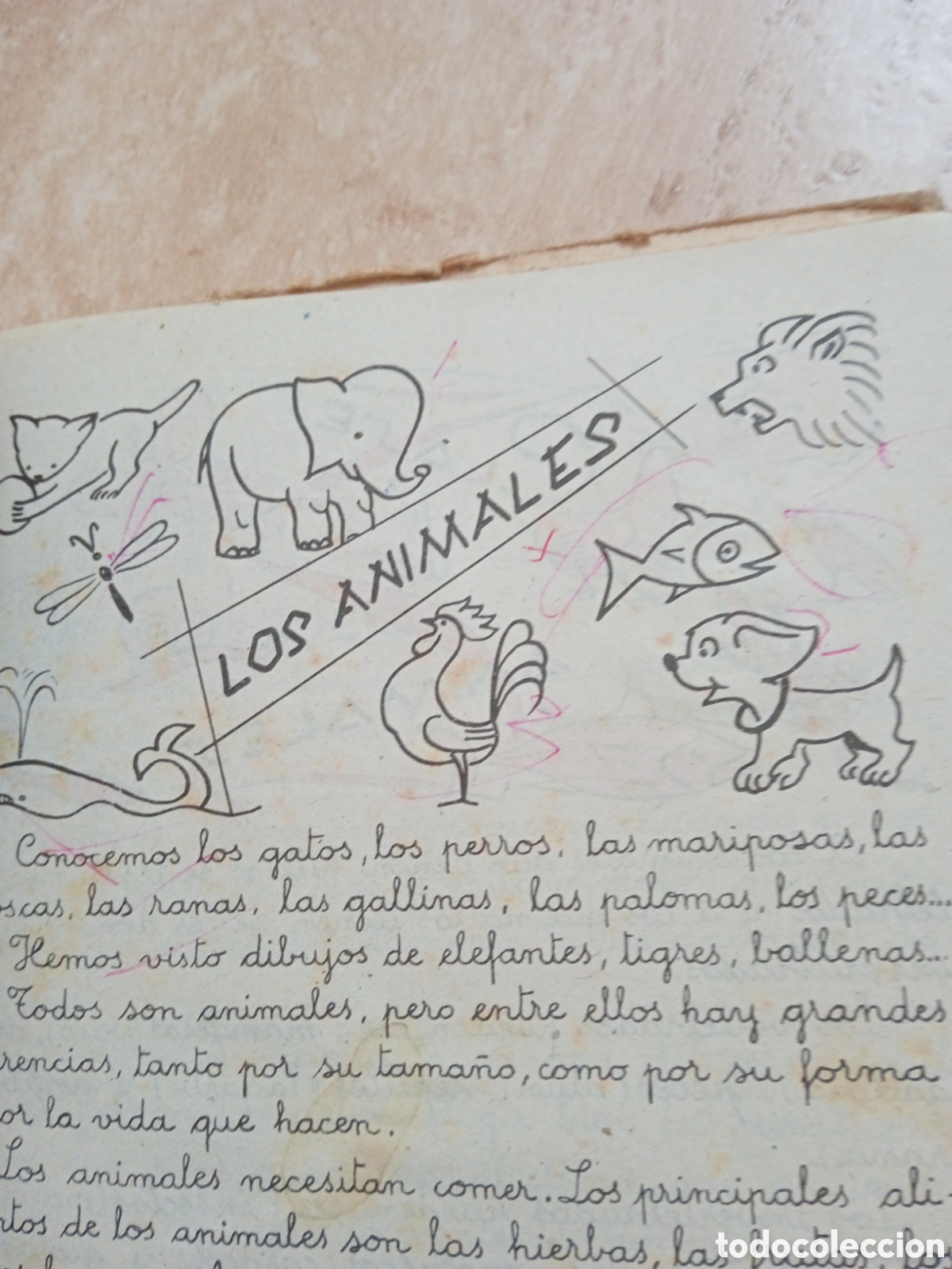 Libros de segunda mano: Lecciones amenas Segundo Libro Ed. Miguel A. Salvatella - Foto 4