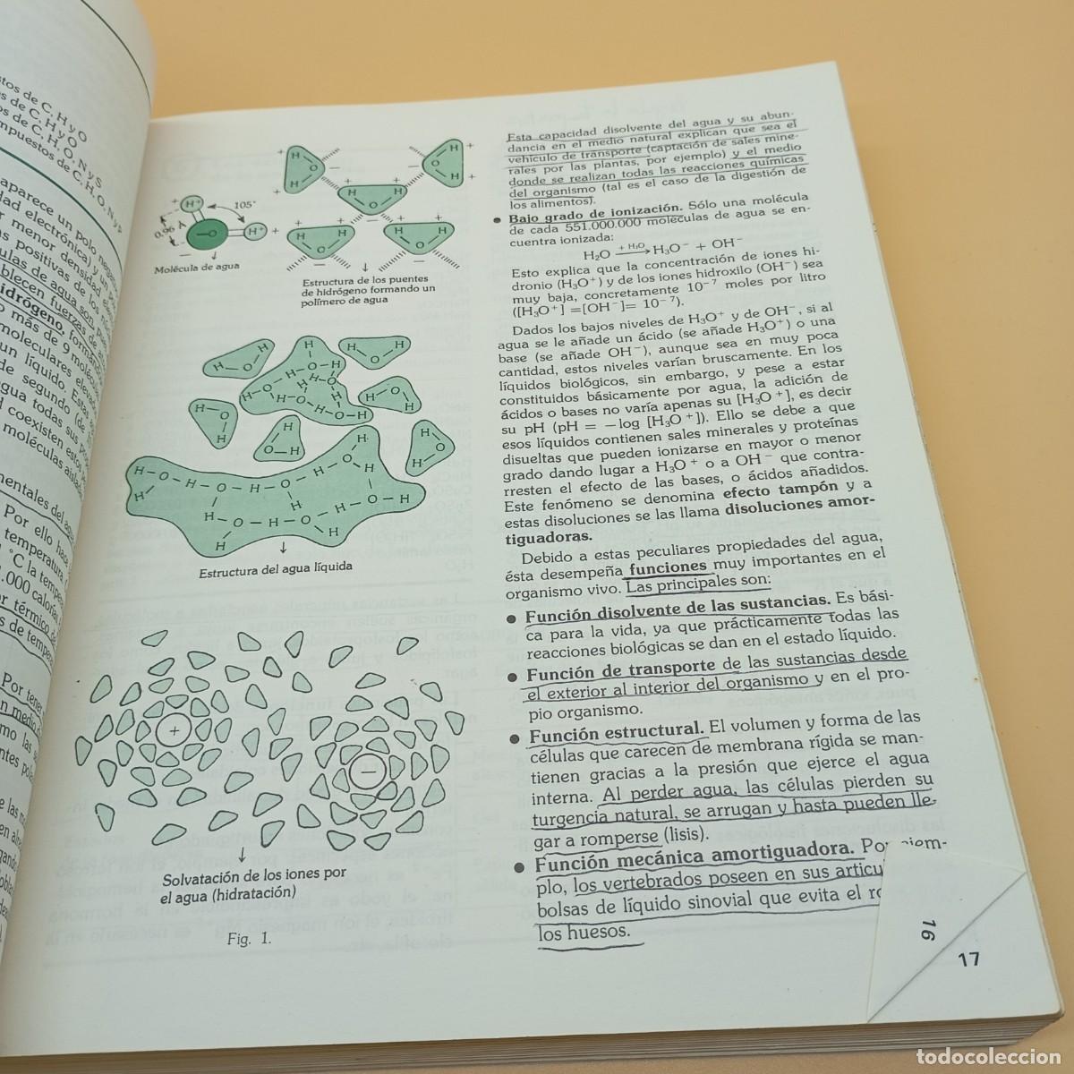 Libros de segunda mano: BIOLOGIA COU SANTILLANA - Foto 5