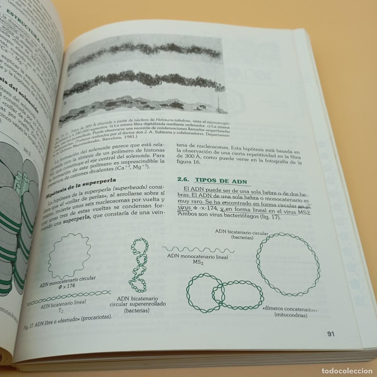 Libros de segunda mano: BIOLOGIA COU SANTILLANA - Foto 6