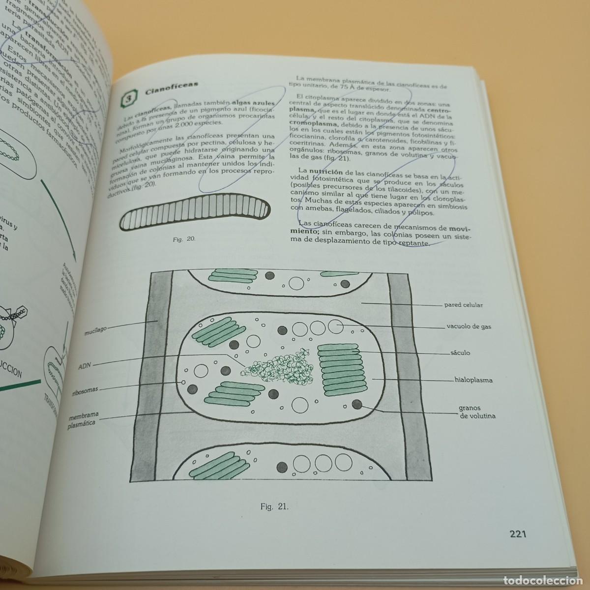 Libros de segunda mano: BIOLOGIA COU SANTILLANA - Foto 7