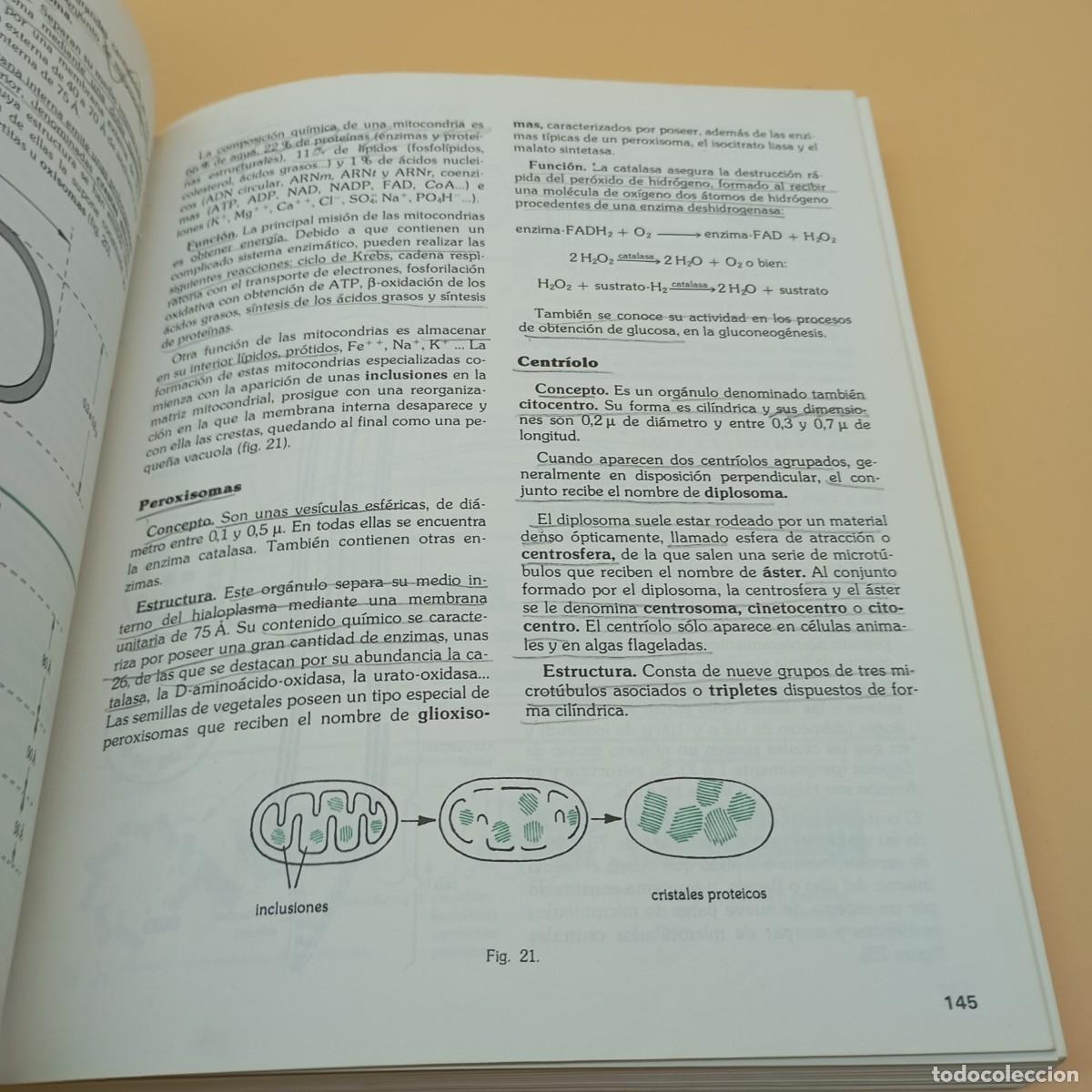 Libros de segunda mano: BIOLOGIA COU SANTILLANA - Foto 8