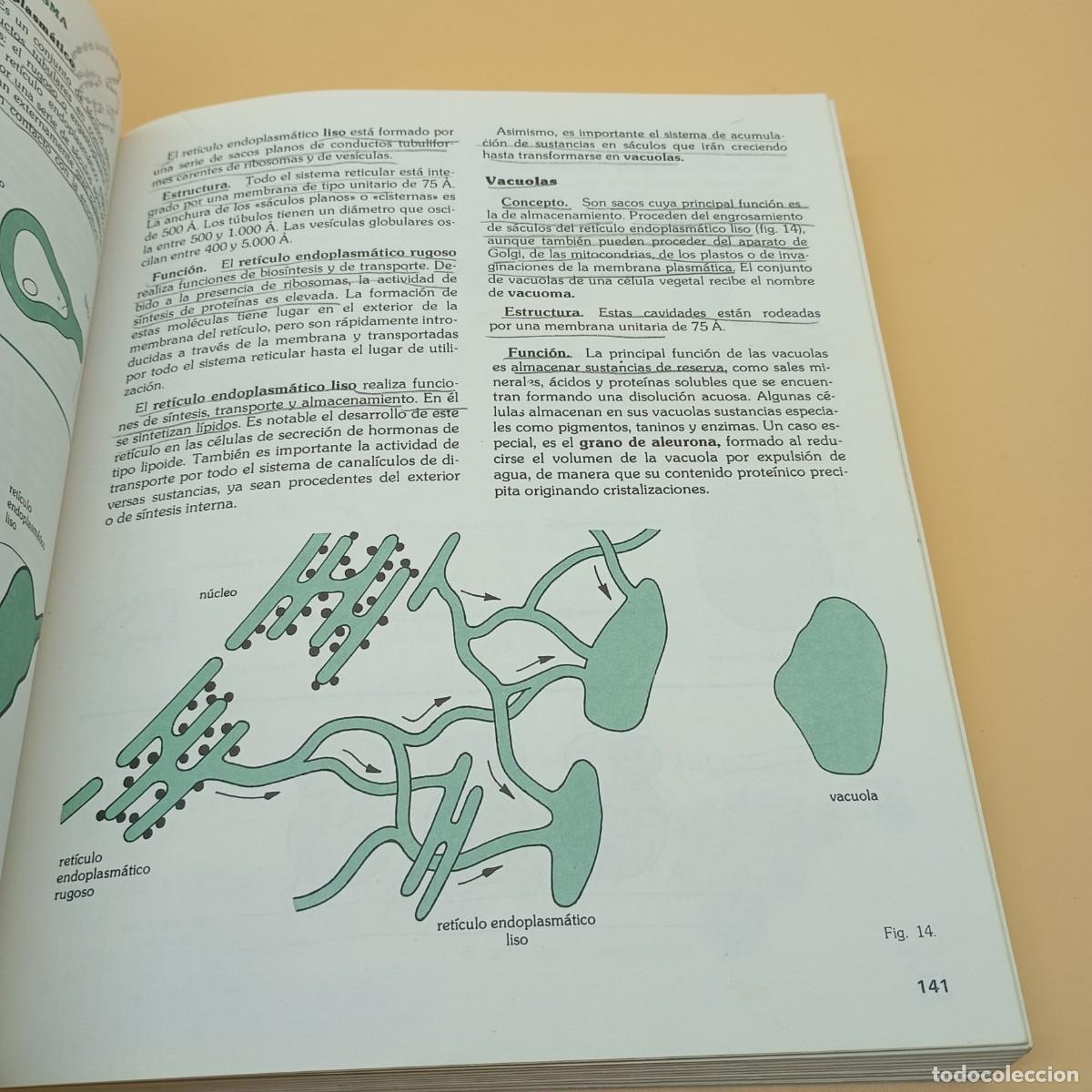Libros de segunda mano: BIOLOGIA COU SANTILLANA - Foto 9
