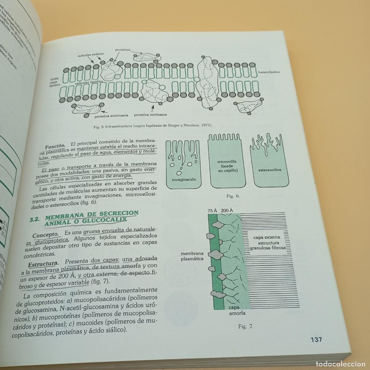 Libros de segunda mano: BIOLOGIA COU SANTILLANA - Foto 10