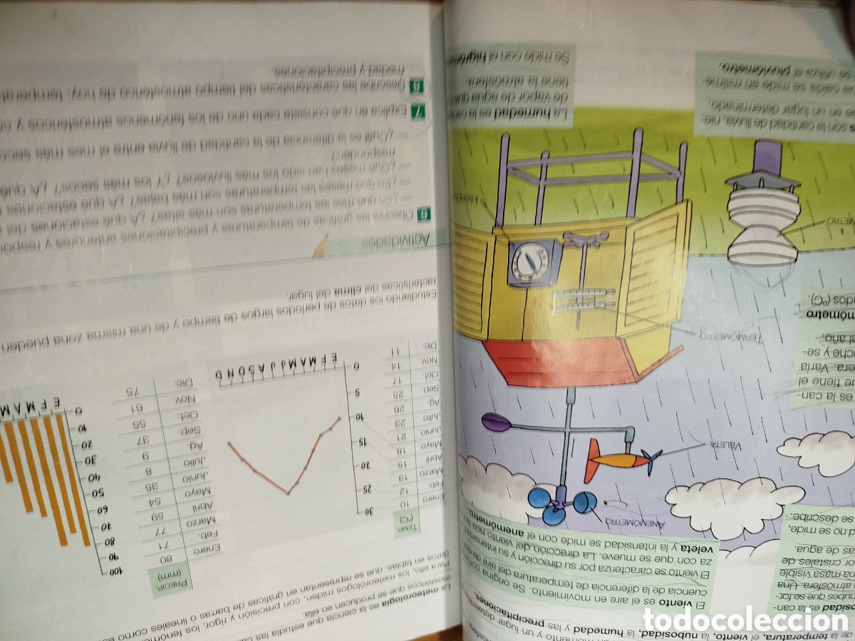 Libros de segunda mano: Conocimiento del medio 4. Edeb&eacute; primaria. En ruta - Foto 2