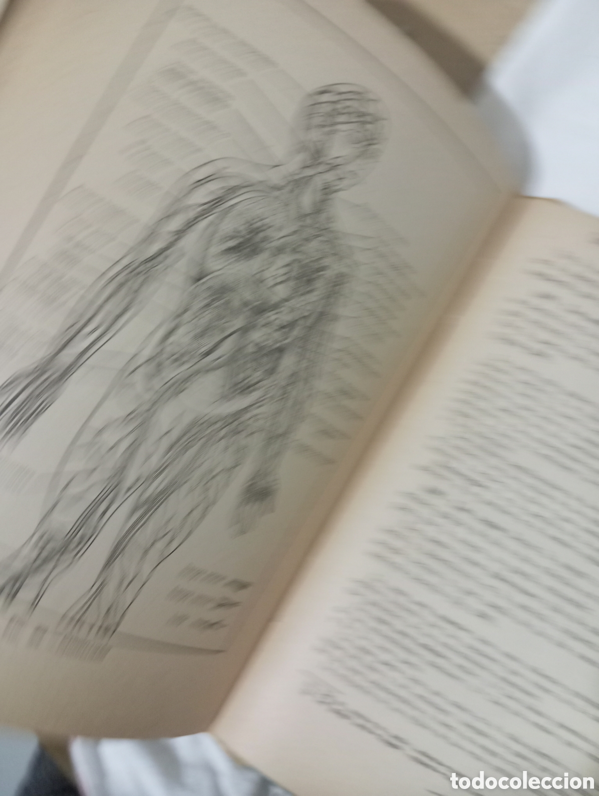 Libros de segunda mano: Ciencias cosmol&oacute;gicas. Tercer curso - Foto 4