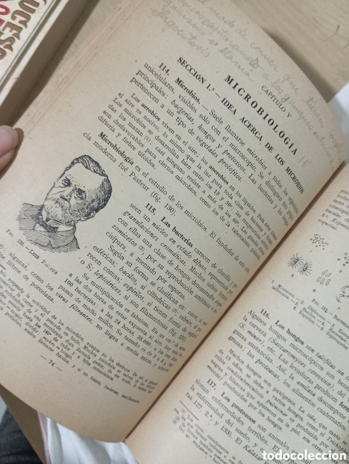 Libros de segunda mano: Ciencias cosmol&oacute;gicas. Tercer curso - Foto 5