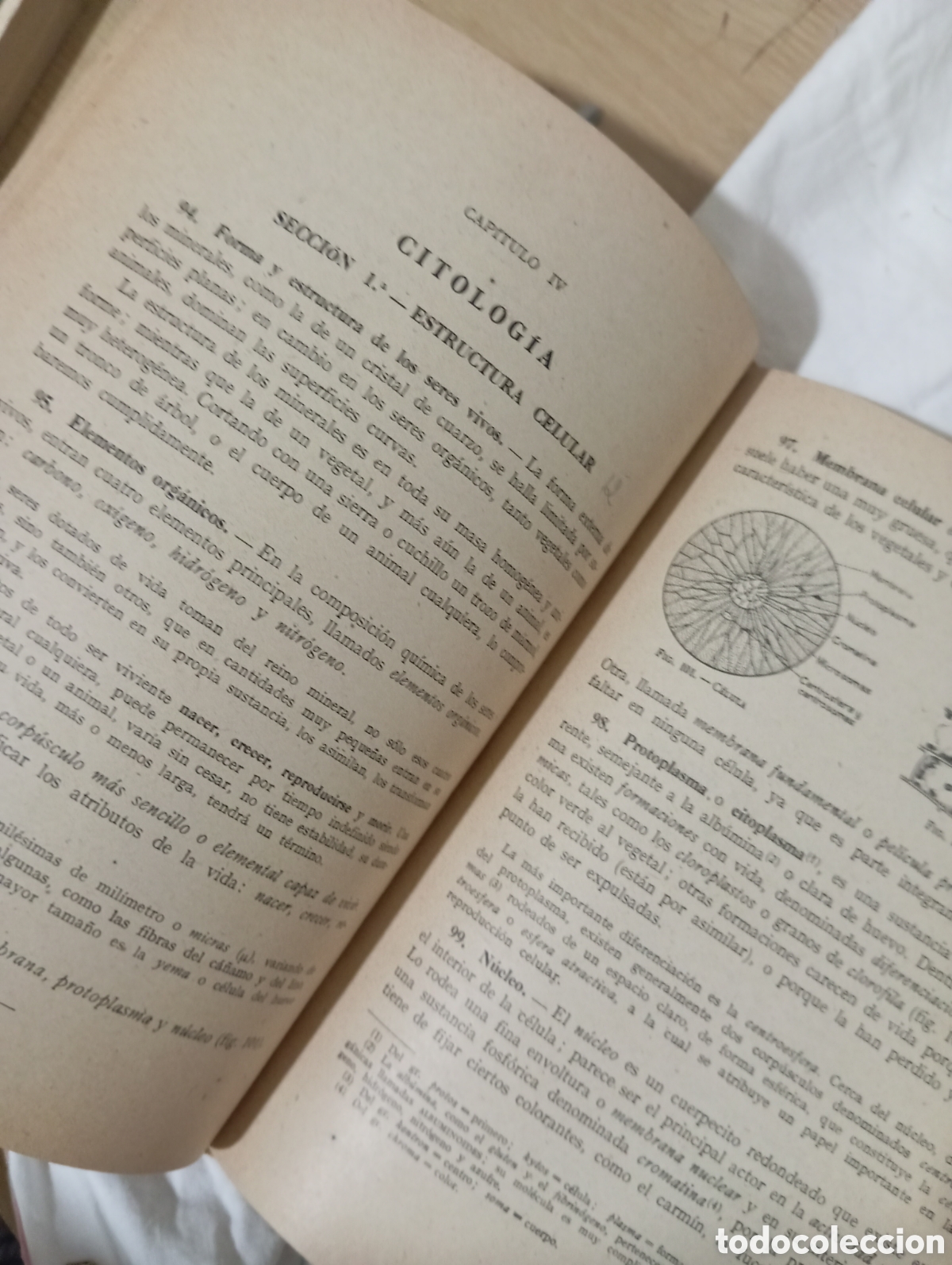 Libros de segunda mano: Ciencias cosmol&oacute;gicas. Tercer curso - Foto 6
