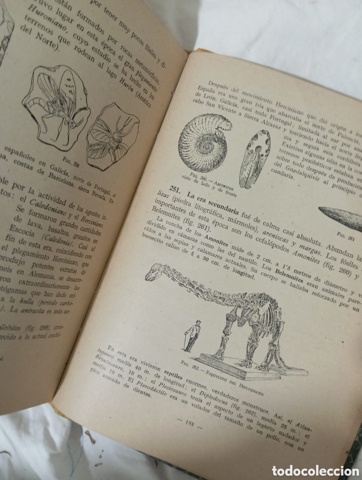 Libros de segunda mano: Ciencias cosmol&oacute;gicas. Tercer curso - Foto 9