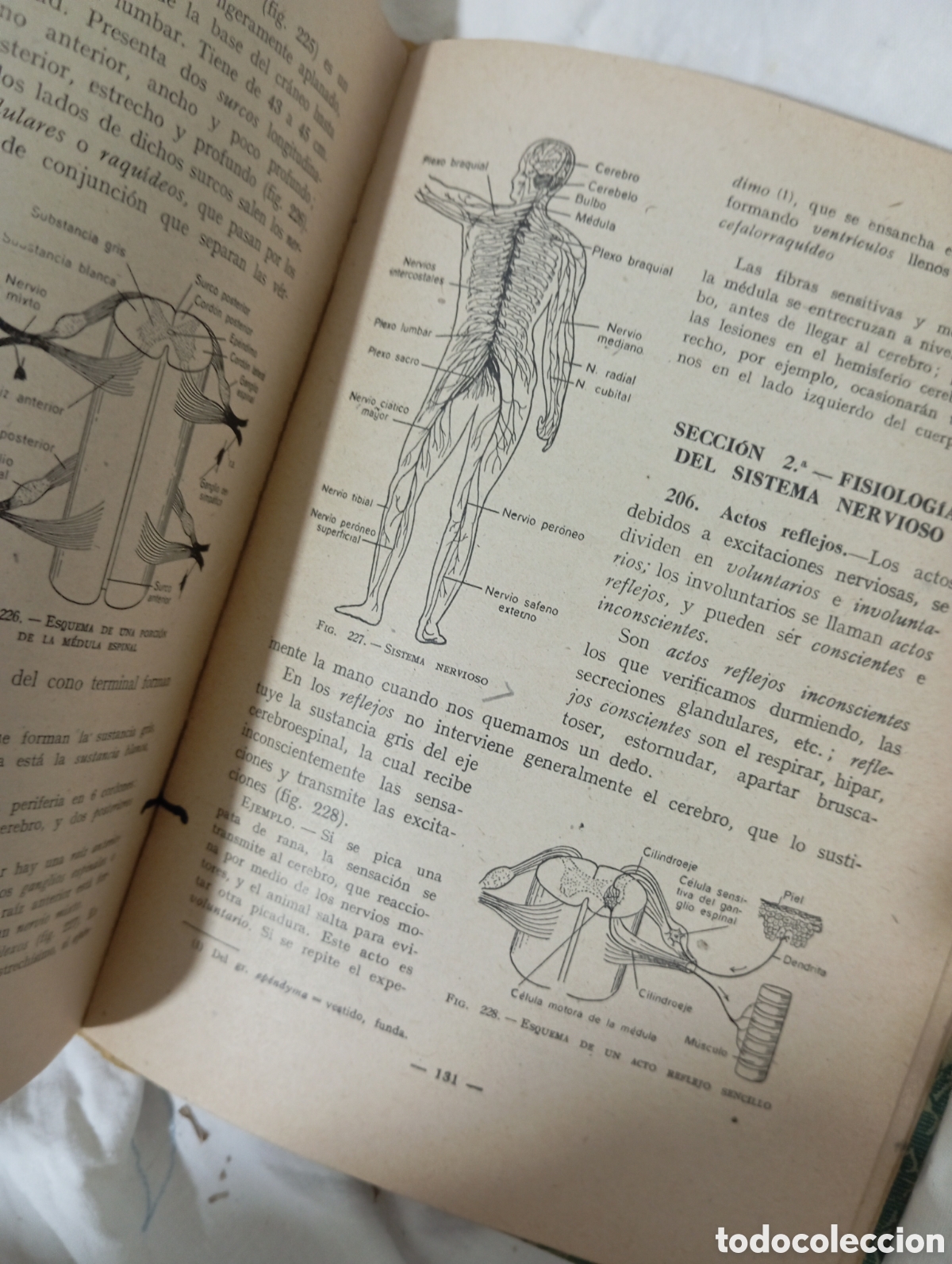Libros de segunda mano: Ciencias cosmol&oacute;gicas. Tercer curso - Foto 10
