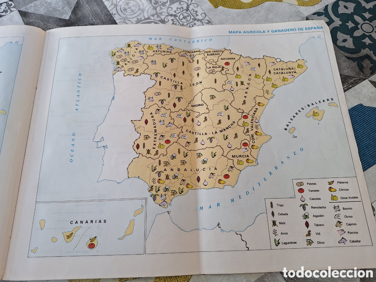 Libros de segunda mano: ANAYA 5 EGB SOCIALES 1989 - Foto 13