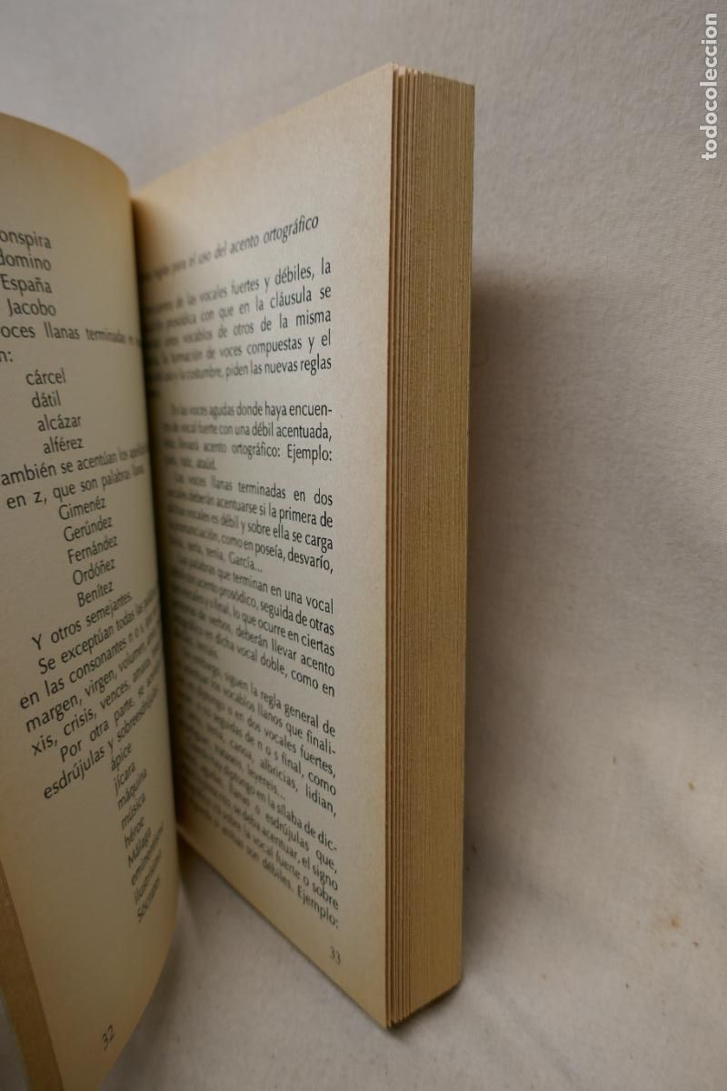 Libros de segunda mano: Ortograf&iacute;a Pr&aacute;ctica - Damian Ram&iacute;rez - Foto 6