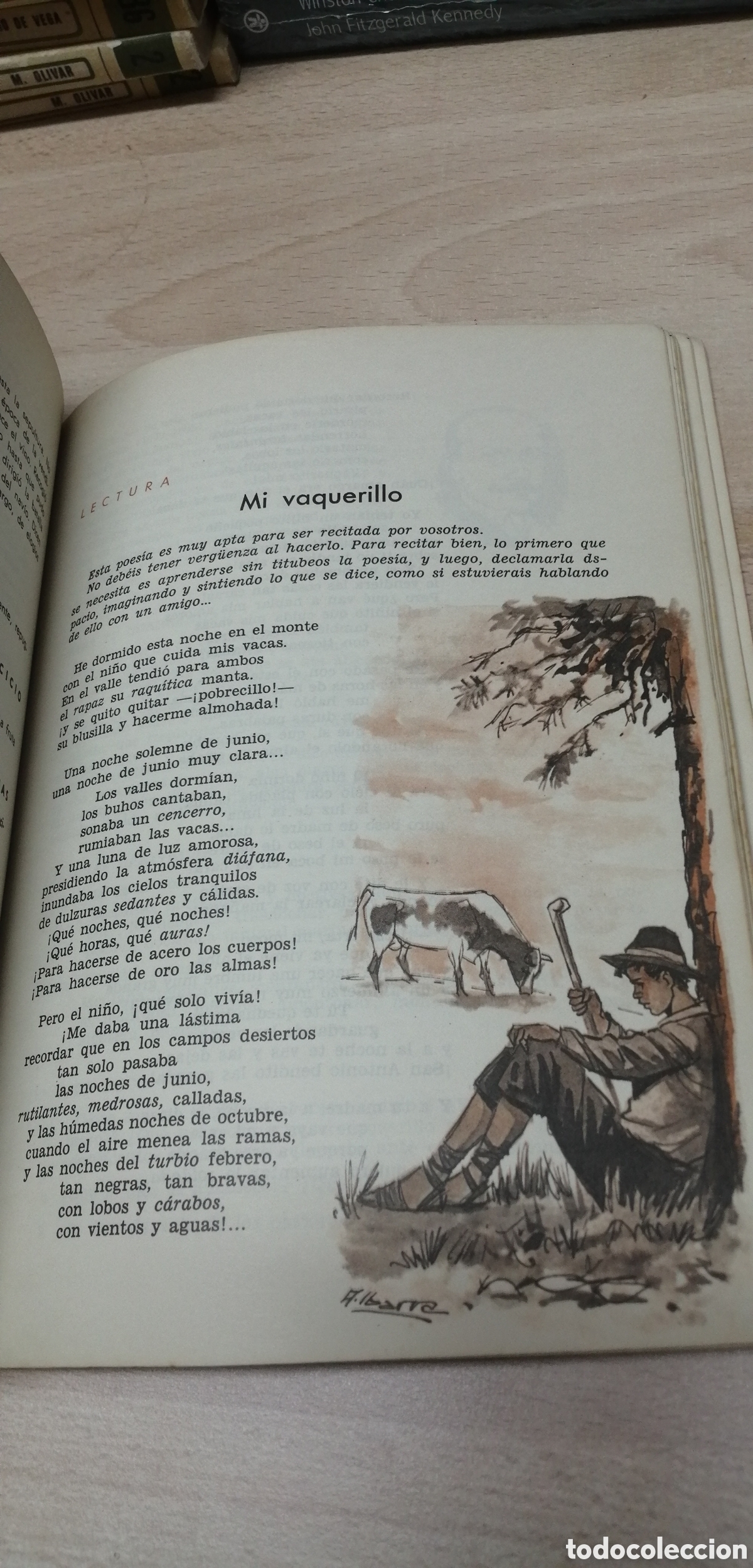 Libros de segunda mano: Espa&ntilde;ol 2&deg; Bachillerato SM 1964 - Foto 15
