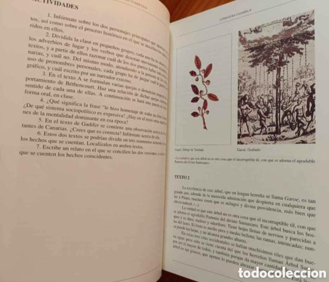 Libros de segunda mano: Literatura Canaria II. Desarrollo del curriculo. - Foto 5