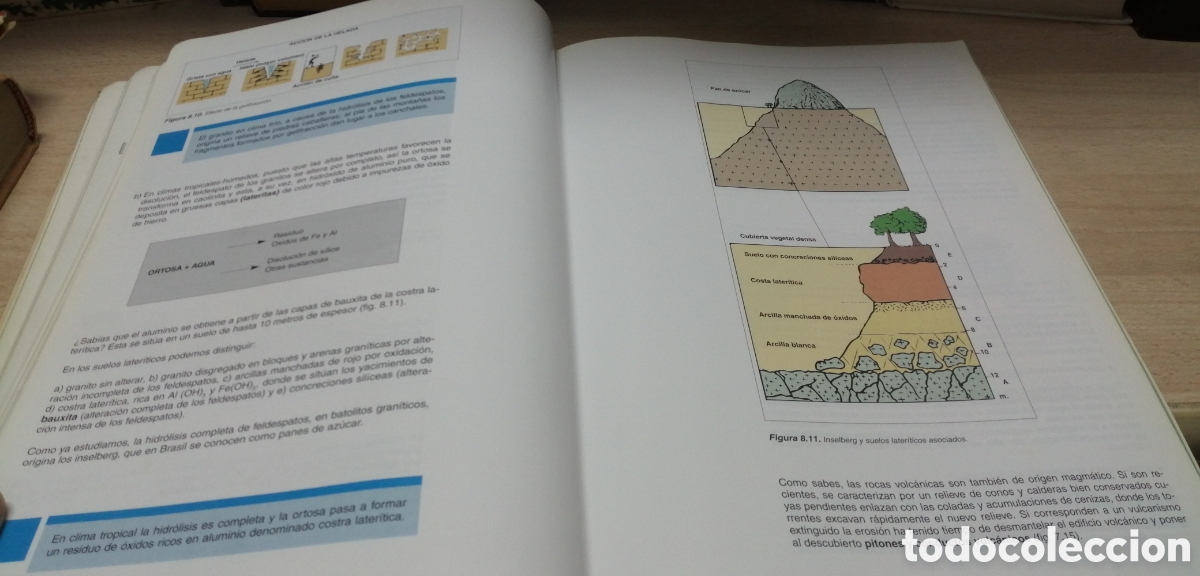 Libros de segunda mano: Ciencias Naturales 3 BUP 1997 - Foto 9