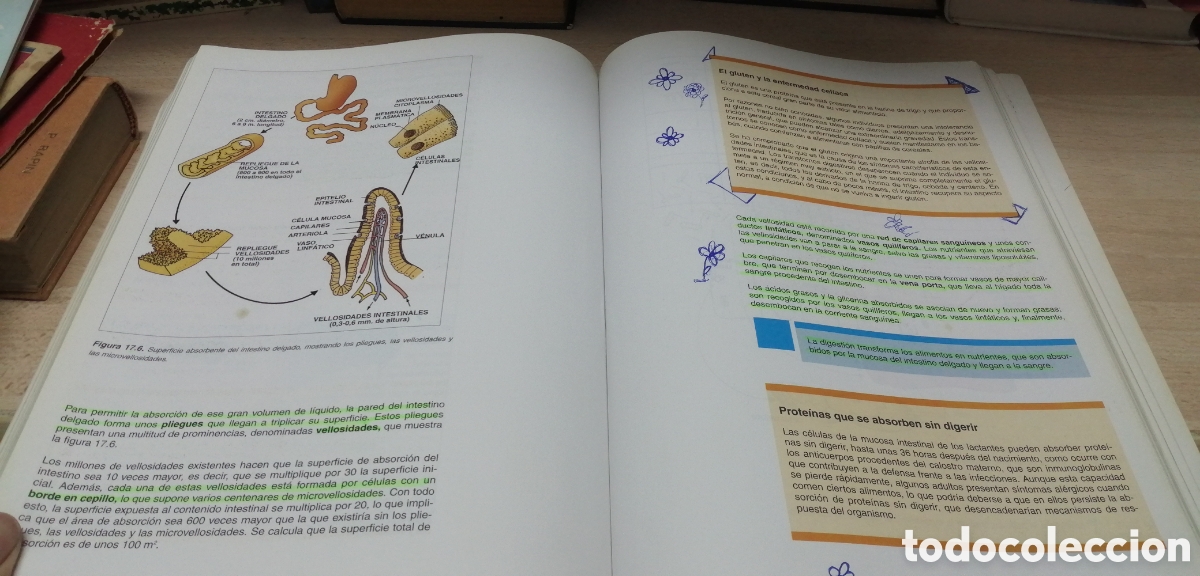 Libros de segunda mano: Ciencias Naturales 3 BUP 1997 - Foto 11