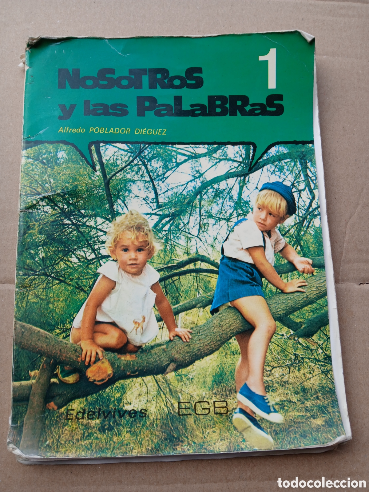 Libros de segunda mano: Nosotros y las palabras 1 poblador
