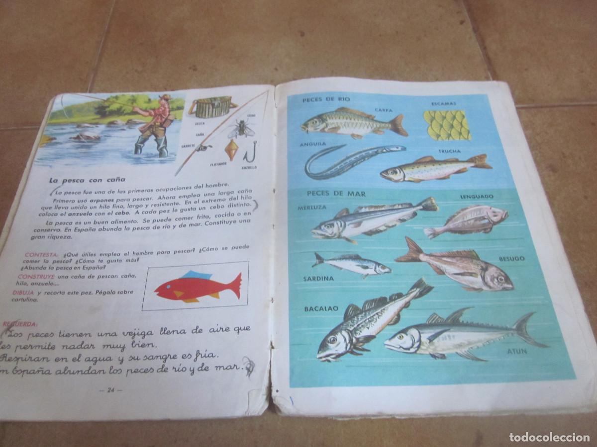 Libros de segunda mano: ALVAREZ - UNIDADES DIDACTICAS SEGUNDO CURSO - MI&Ntilde;&Oacute;N 1966 - Foto 4