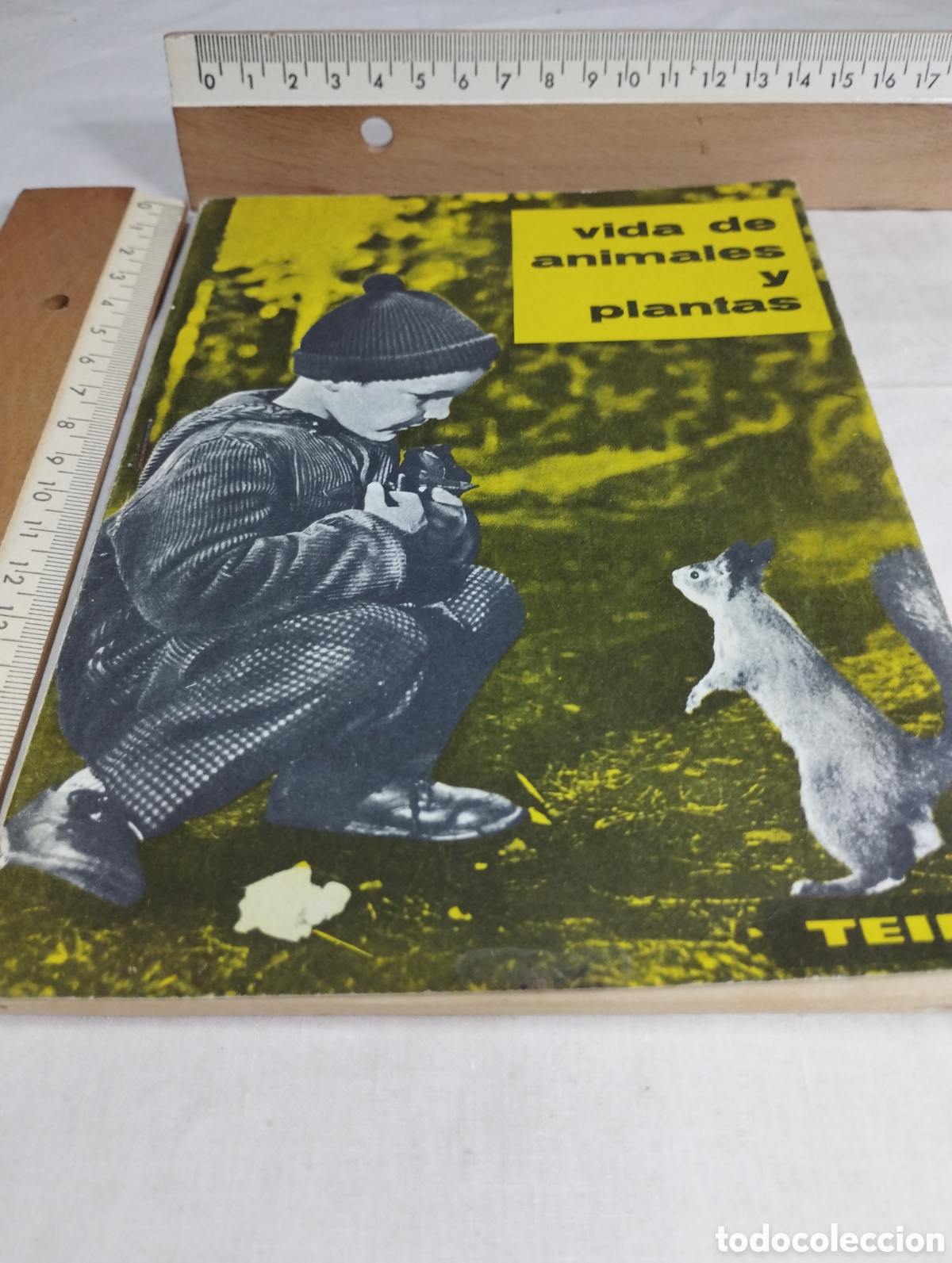 Libros de segunda mano: Vida de los animales y plantas. Teide, 1963 - Foto 1
