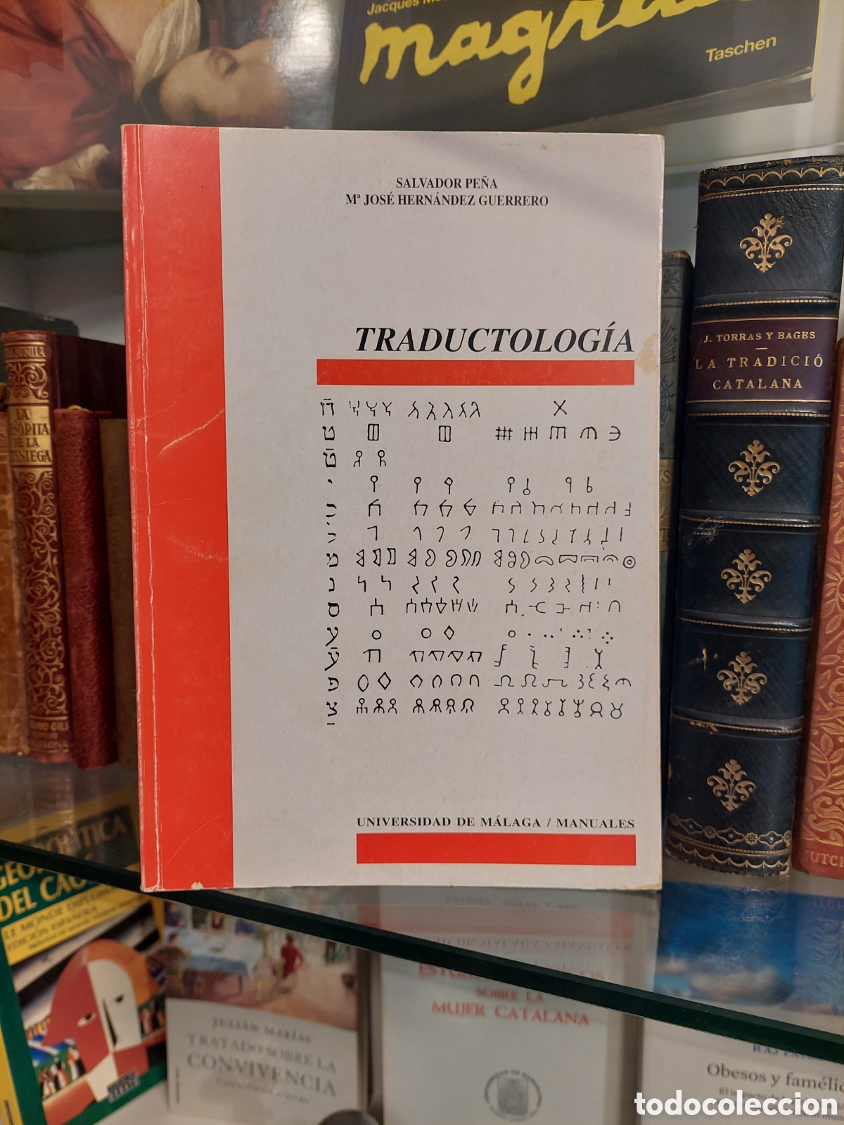 Gebrauchte B&uuml;cher: Traductolog&iacute;a. Salvador Pe&ntilde;a i Maria Jos&eacute; Hernandez.