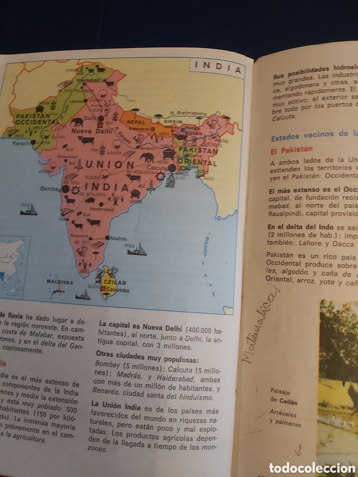 Libros de segunda mano: GEOGRAF&Iacute;A UNIVERSAL 2 EDELVIVES 1969 - Foto 7