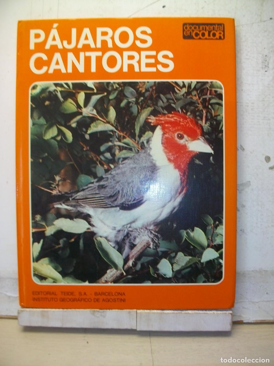 Libros de segunda mano: PAJAROS CANTORES. DOCUMENTAL EN COLOR - EDITORIAL TEIDE 1972 - Foto 1