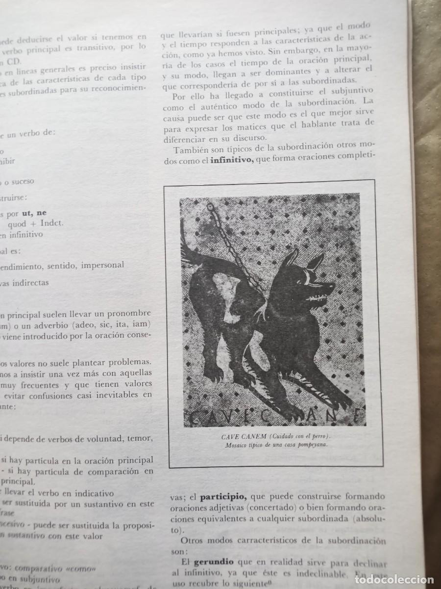 Libros de segunda mano: LATIN BUP2 Edelvives - Foto 3