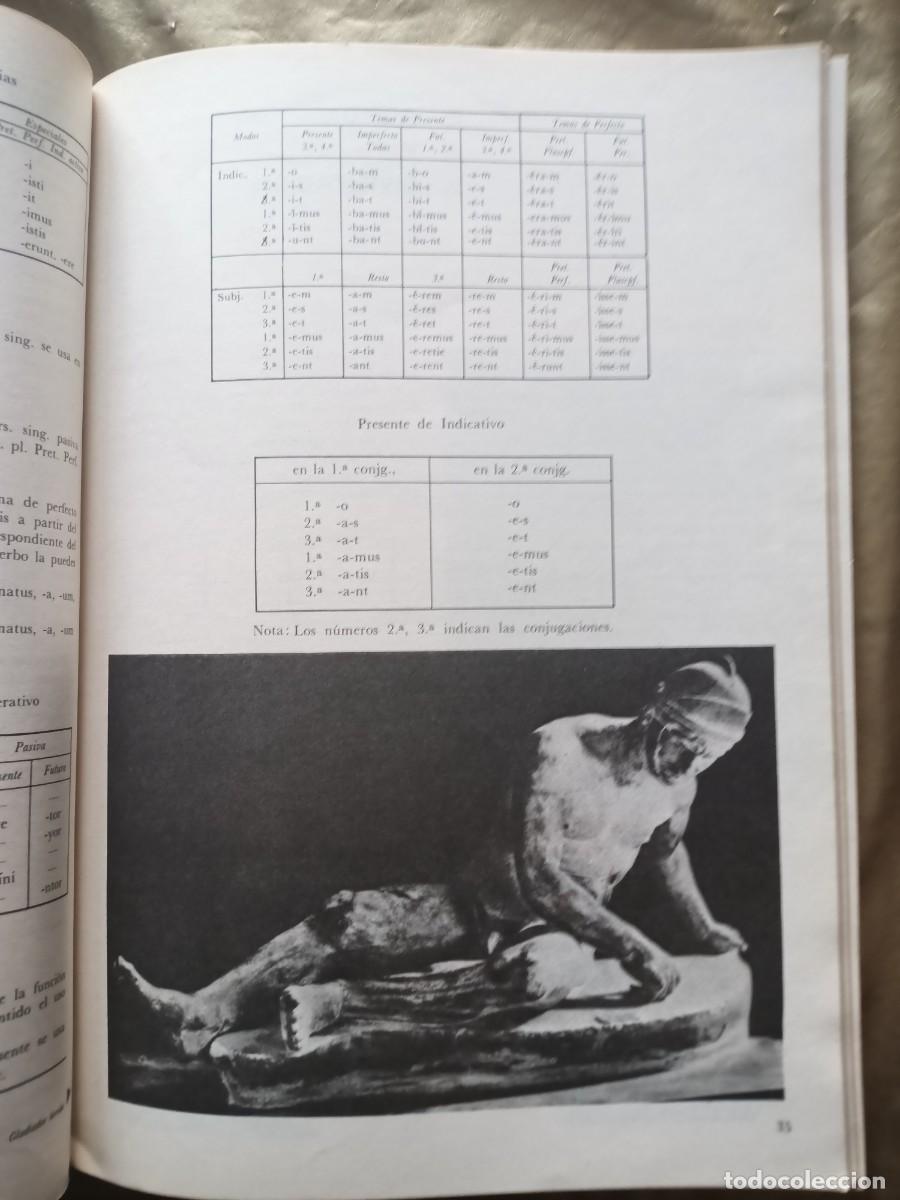 Libros de segunda mano: LATIN BUP2 Edelvives - Foto 4