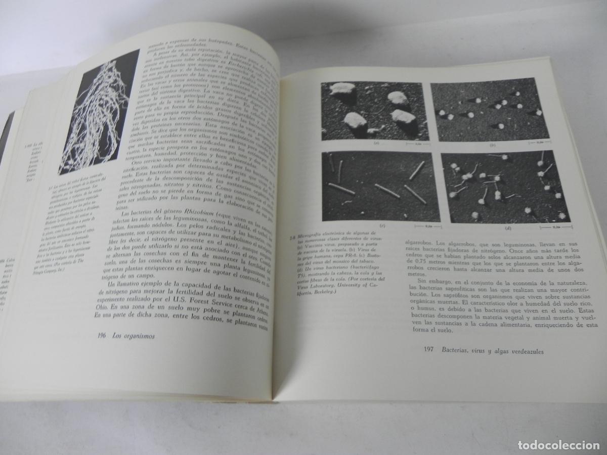Libros de segunda mano: BIOLOG&Iacute;A (HELENA CURTIS) OMEGA-1972 - Foto 7
