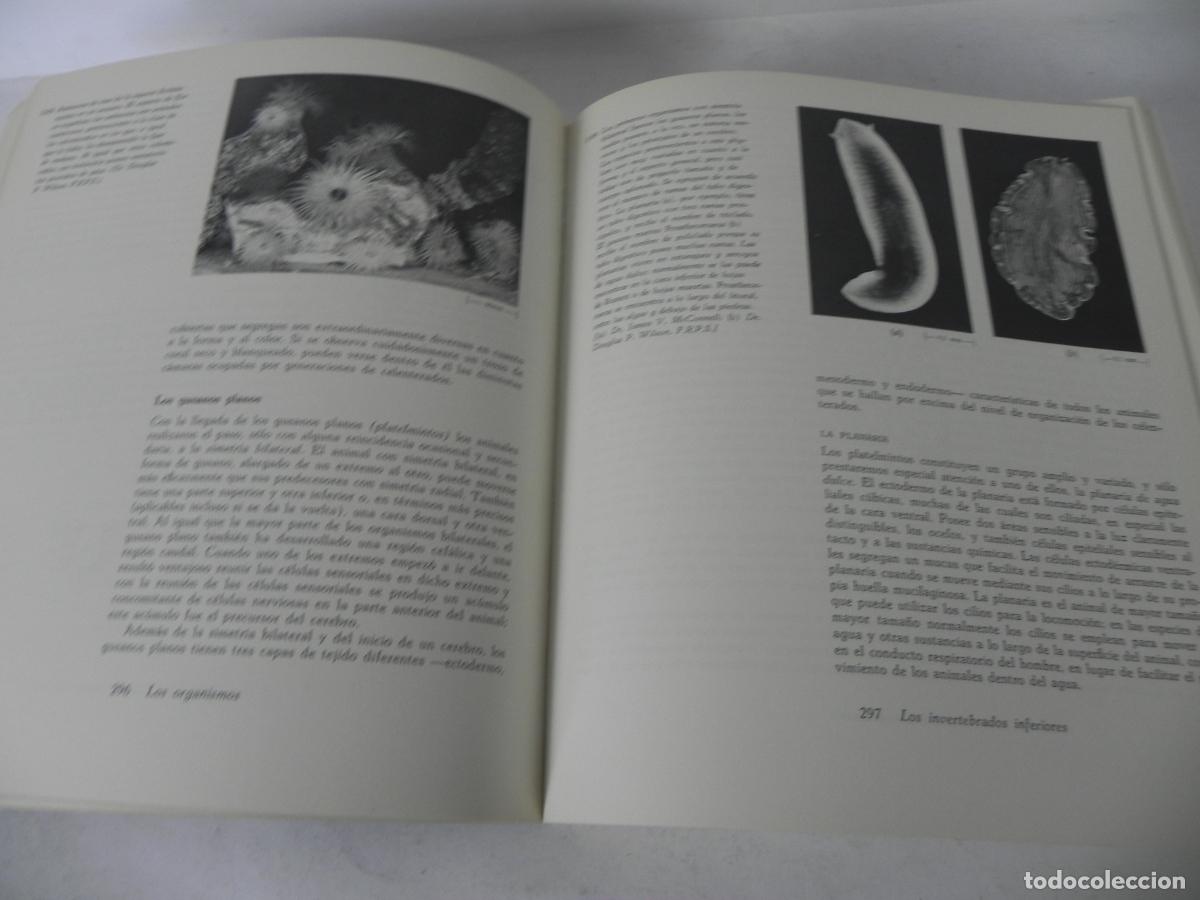 Libros de segunda mano: BIOLOG&Iacute;A (HELENA CURTIS) OMEGA-1972 - Foto 8