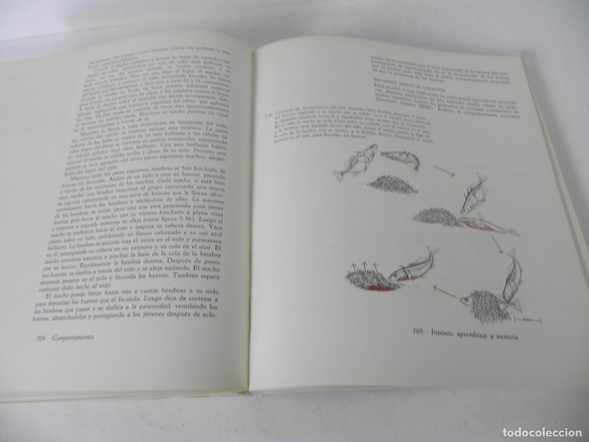 Libros de segunda mano: BIOLOG&Iacute;A (HELENA CURTIS) OMEGA-1972 - Foto 11