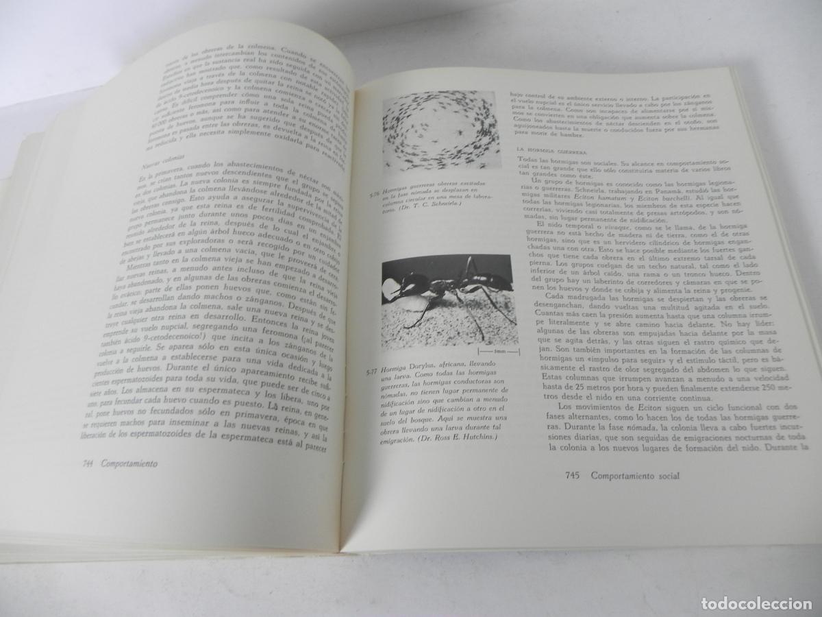 Libros de segunda mano: BIOLOG&Iacute;A (HELENA CURTIS) OMEGA-1972 - Foto 12